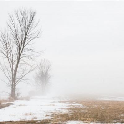 乐发彩票登录首页大厅截图